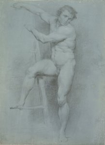 Desnudo masculino apoyado en una escalera